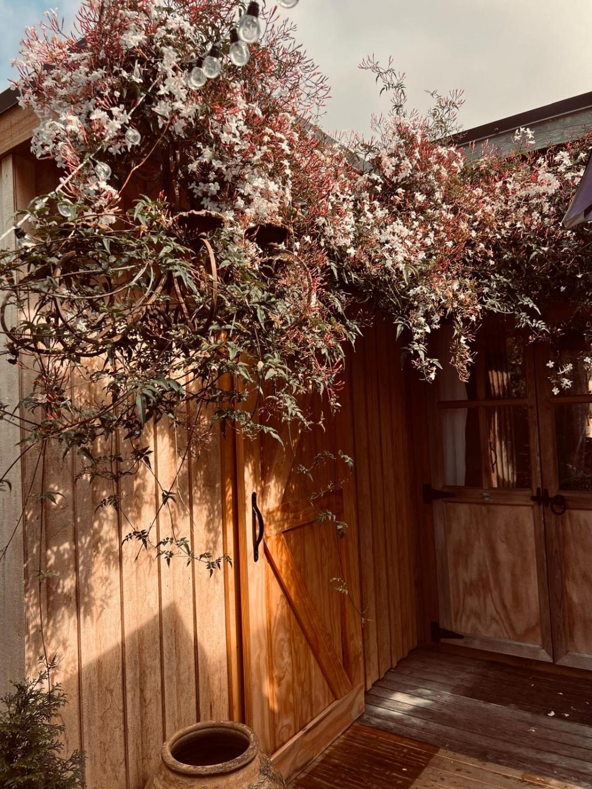 ホテル Piccola Casa Fiorita マウント・マウンガヌイ エクステリア 写真